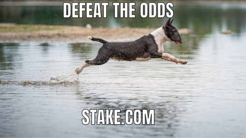 stake.com.png