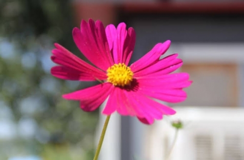 482149581_images(1).thumb.jpeg.f4fcb3a67f5dda0e7c8a05cb73b18f64.jpeg