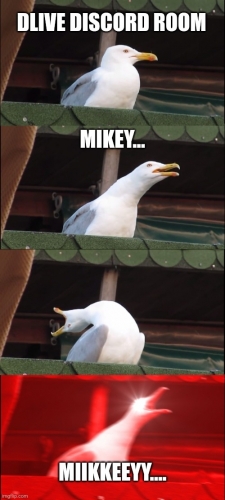 6yxiv6.jpg