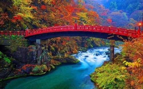 images (8).jpeg