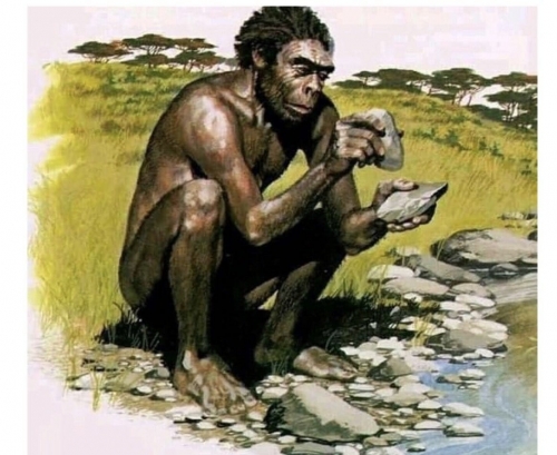 7AEF6626-E71F-40A0-8E93-74E48AD37D04.jpeg