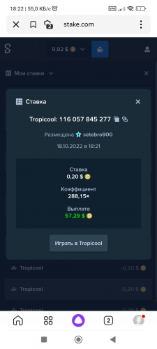 Screenshot_2022-10-18-18-22-13-075_ru.yandex.searchplugin.jpg