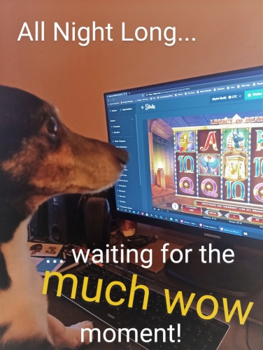 My good boy <3