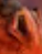 image.png.e72482683d3a9a10e242f92c083df9f9.png