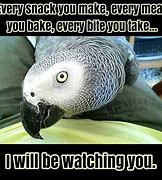 image.png.f890751a75c6e49f4cb61a7c041cb017.png
