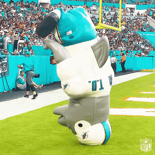 miami-dolphins.gif
