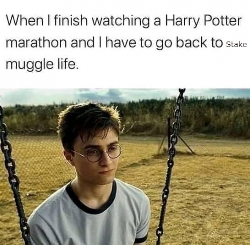 mugglelife.thumb.jpg.2699cc94e43dff9c66732076309eba5c.jpg