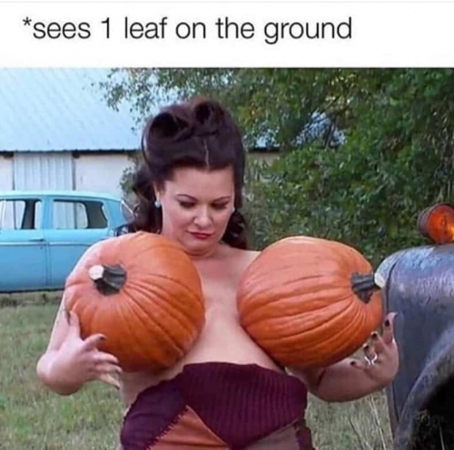 see-1-leaf-on-the-ground.jpg