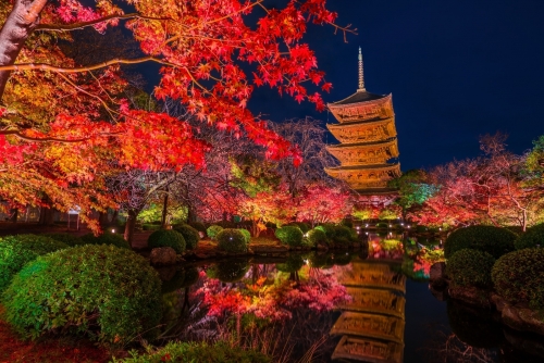 01kyoto-fall-meisyo-spot.jpeg