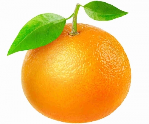 1574072301_8.jpg