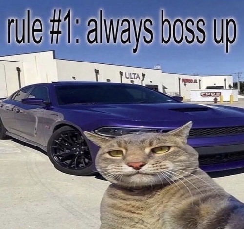 FffnY1_XkAEYdF4.thumb.jpeg.c3eb6081c60354156393201a464a0256.jpeg