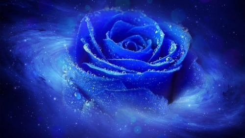 blue.jpg