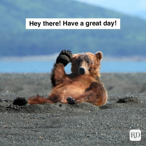 hey-there-have-a-great-day-149484414.jpg