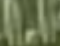 image.png.ad7283202c5b435401f37049fb14524e.png
