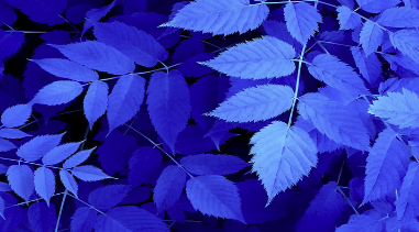 image.png.c88bc3932509c4991837fc90ac18f627.png