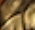 image.png.e1977c9845f463c37a1c12d79d329fa5.png