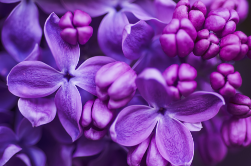 image.thumb.png.0873449f0a9bc1ab147fb985a46ebca6.png