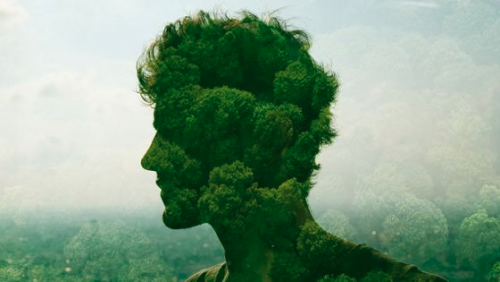 image.thumb.png.177c1c1034d6def8935f47db52ed2b38.png