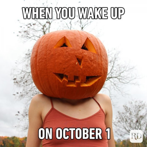 image.thumb.png.bca4180f0dd27fdc1dc6c214d72beefa.png