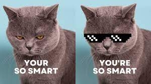 smart.jpg.81a200f3d8188736fe5225160a74b581.jpg