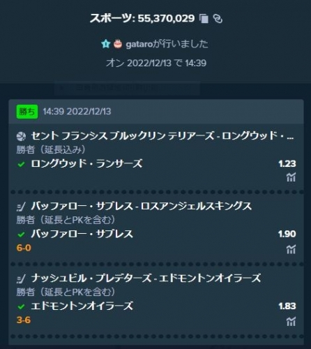 キャプチャ1219-1.JPG