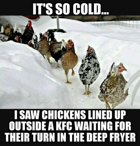 5BE9943B-0C75-4390-AD86-996E4EEF7189.jpeg