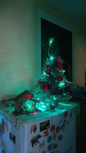 IMG_20221208_144439.jpg