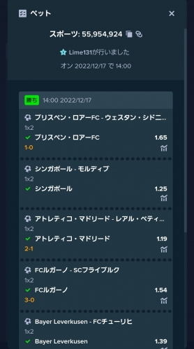 Screenshot_20221218_010650.jpg