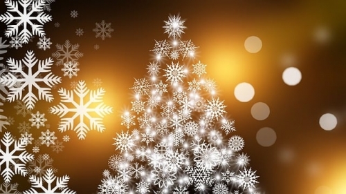 christmas-tree-gc425a40ea_640.jpg