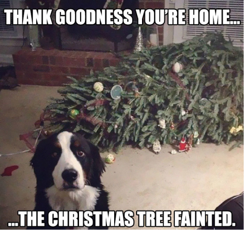 image.thumb.png.6d0b5383a50a58c35f2e32dd86d1670e.png