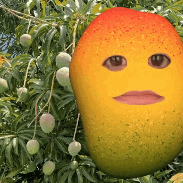 mango-omg-mango.gif