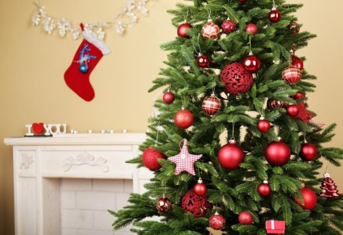 sapin.jpg