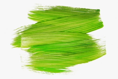 what-colors-make-light-green.thumb.jpg.c87da24b1e77cba28bf628566d8b515f.jpg
