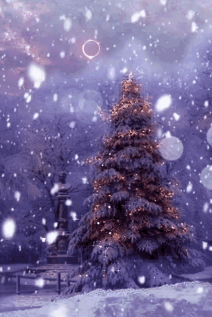 xmas-tree-christmas-tree.gif