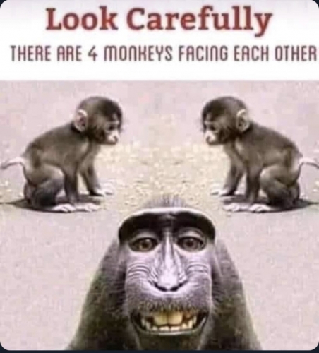 23D0FBDC-B2BC-4D1D-85C5-1F4D9A05D856.jpeg
