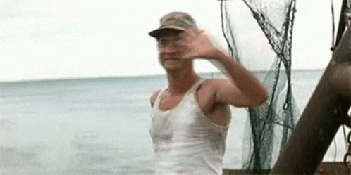 forest-gump-wave.gif.e5855fbcf02a81aded08d7f236a06c47.gif
