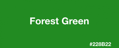 forest1.png
