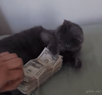 image.gif.271bb2cd134b8092db4b4458cb3d30b3.gif
