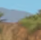 image.png.72e037acc95aa42a19cd840bdf552bb1.png
