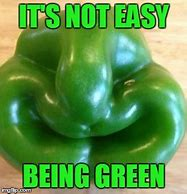 image.png.90c82737104585de3c2fc626fe9188ab.png