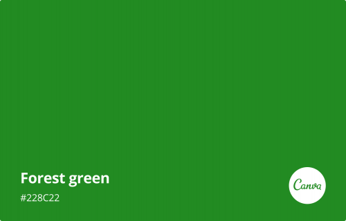image.thumb.png.6df8c600a6d2e2f514d313fd89890a22.png