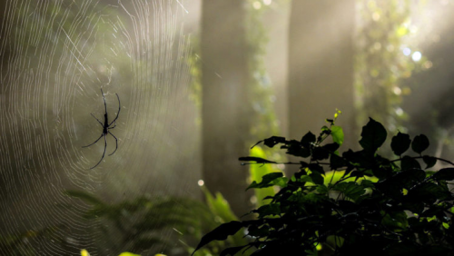 image.thumb.png.a77e9463520eb784c57afc8a19bd786e.png