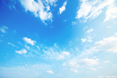 image.thumb.png.a7862442810093dd5cbf0cee7bff2f1d.png