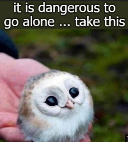image.thumb.png.a95c8dbd6a03f59db4debb9fddb77e08.png