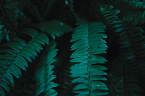 image.thumb.png.d3e7704165c55ed87cdec1cde9b75412.png