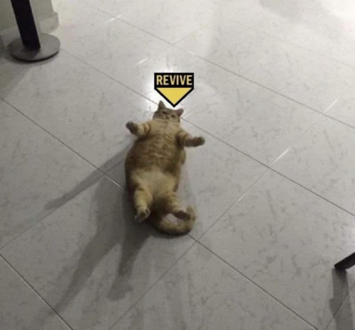 image.thumb.png.f80b7096d299024a8c9154dacea445ac.png