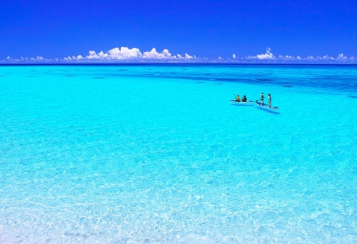 img01.jpg