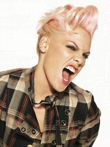 DV0471-Pink-Scream-Portrait-Pop-Rock-Music-Singer-Rare-32x24-Print-POSTER.jpg_Q90.jpg_.thumb.webp.30180acffc3781da2b3a266a1d19715f.webp