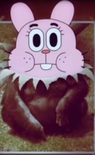 asgfasasas.thumb.jpg.9d240cf83fe1abdd571d7ffa47f97fd2.jpg