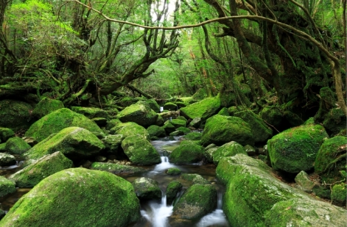 green.jpg